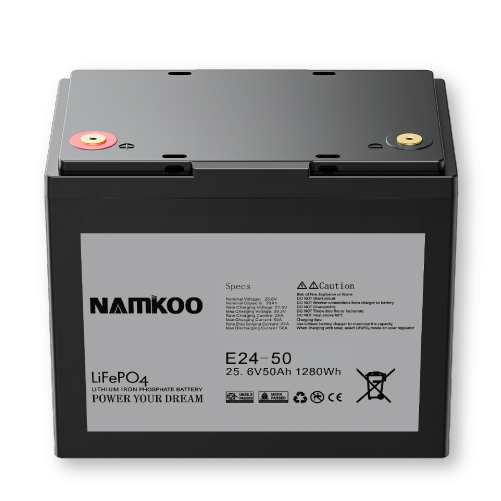 24V 50Ah 100Ah 200Ah Lead-acid AGM Battery